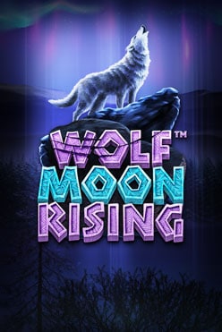 Слот Wolf Moon Rising от провайдера Betsoft на доллары и рубли в онлайн-казино, начать игру прямо сейчас